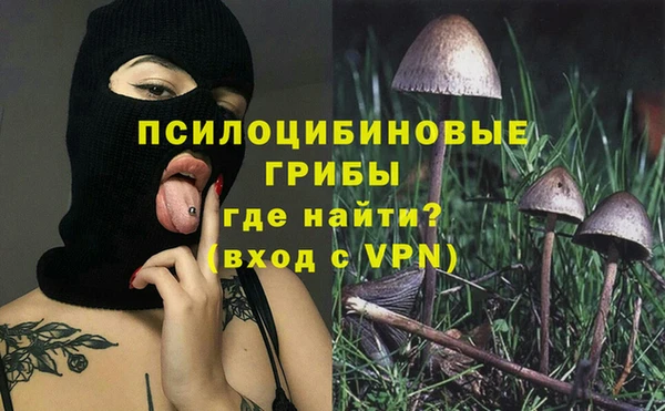 шишки Костерёво