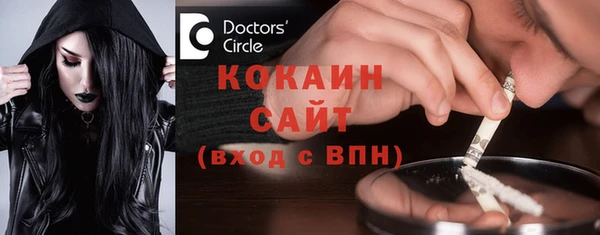 шишки Костерёво