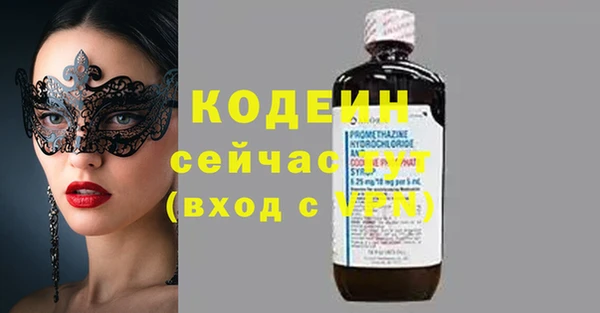 шишки Костерёво