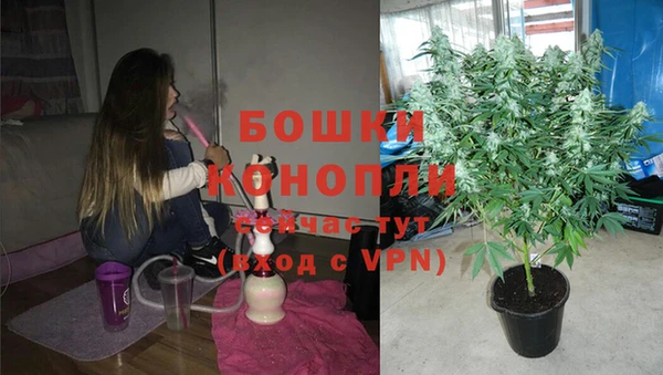 PSILOCYBIN Абдулино