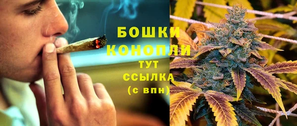 шишки Костерёво