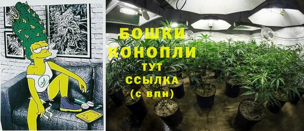 шишки Костерёво