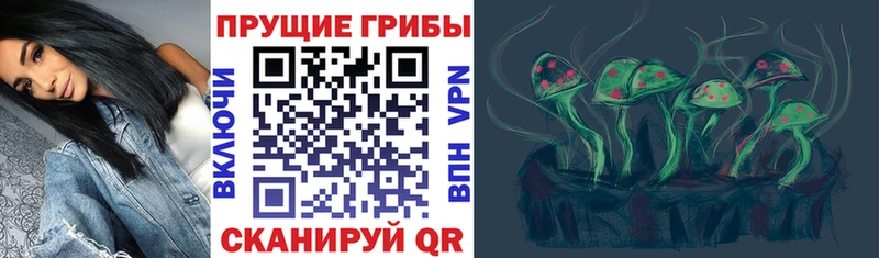 Псилоцибиновые грибы Psilocybine cubensis  MEGA вход  Ногинск 