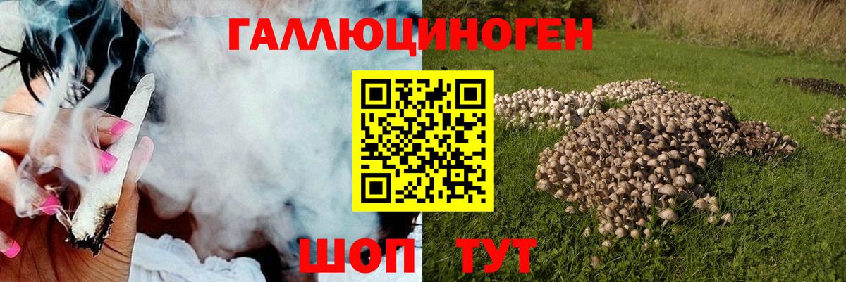 Псилоцибиновые грибы Psilocybine cubensis Ногинск