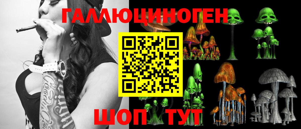 Ногинск  Псилоцибиновые грибы GOLDEN TEACHER  Вход с VPN 